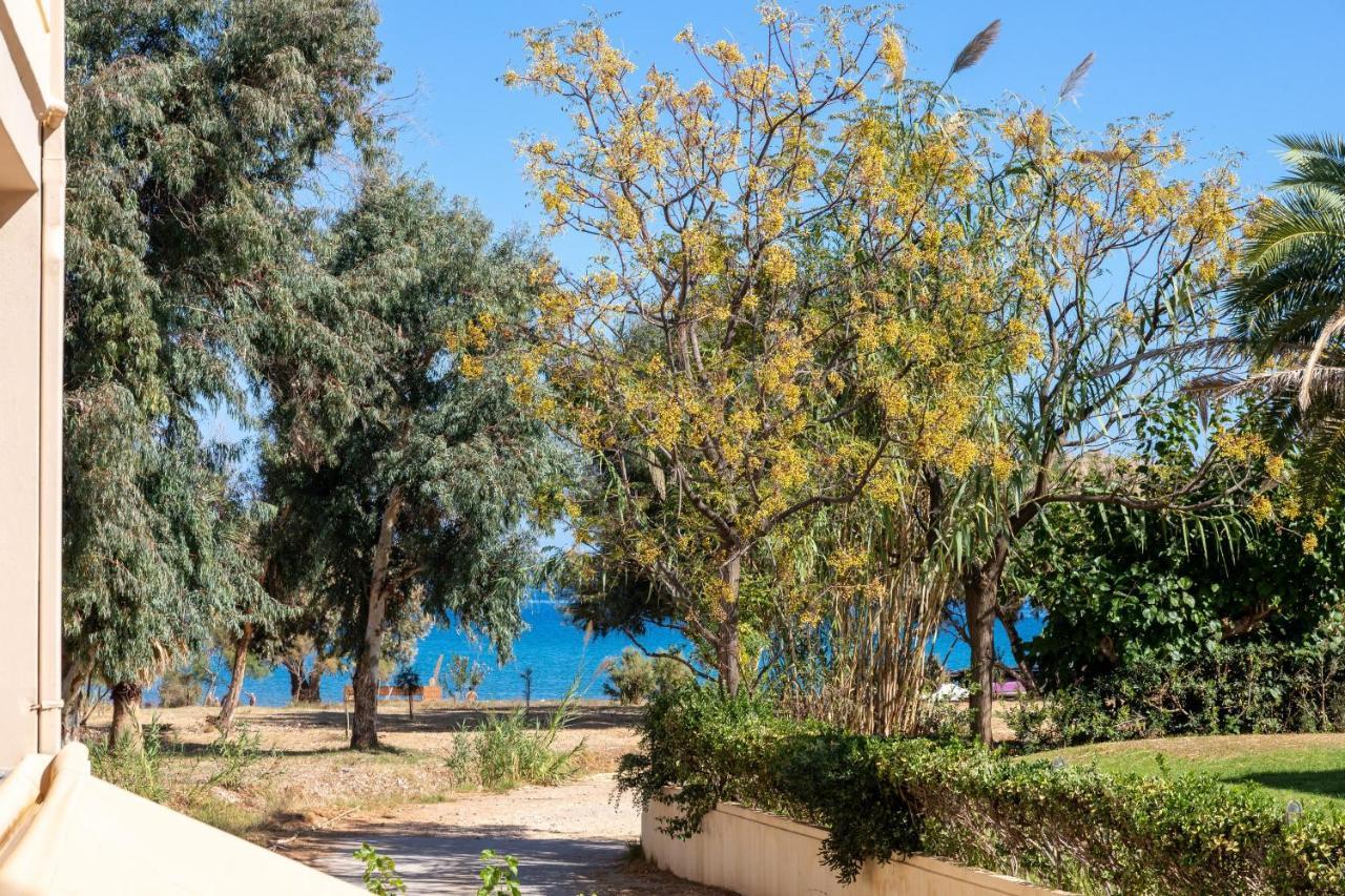 Sun Beach Apartments Kato Daratso Dış mekan fotoğraf